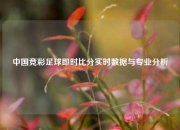 中国竞彩足球即时比分实时数据与专业分析