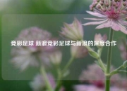 竞彩足球 新浪竞彩足球与新浪的深度合作