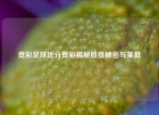 竞彩足球比分竞彩揭秘胜负秘密与策略
