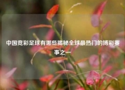 中国竞彩足球有哪些揭秘全球最热门的博彩赛事之一
