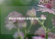竞彩足球盈利心得策略与技巧分享