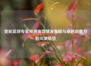 竞彩足球专家预测推荐精准策略与卓越洞察力的完美结合