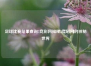 足球比赛结果查询5竞彩网揭秘5竞彩网的神秘世界