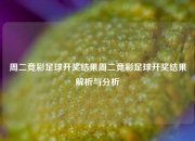 周二竞彩足球开奖结果周二竞彩足球开奖结果解析与分析