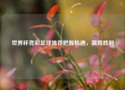 世界杯竞彩足球推荐把握机遇，赢得胜利