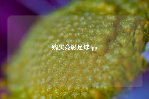 购买竞彩足球app