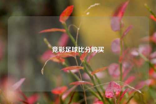 竞彩足球比分购买