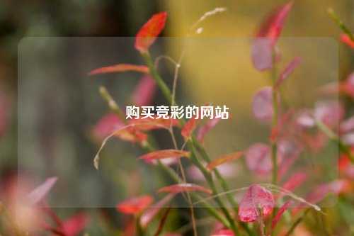 购买竞彩的网站