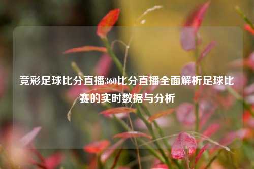 竞彩足球比分直播360比分直播全面解析足球比赛的实时数据与分析