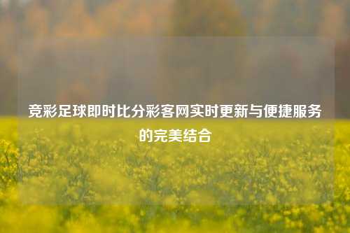 竞彩足球即时比分彩客网实时更新与便捷服务的完美结合