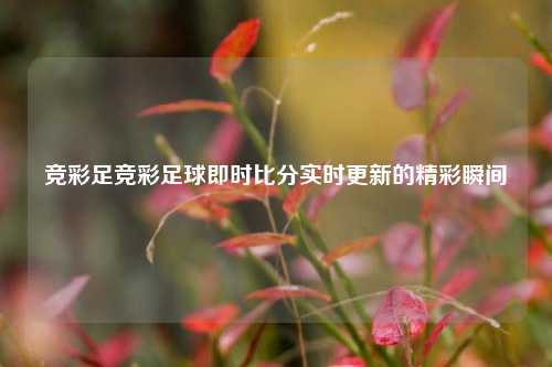 竞彩足竞彩足球即时比分实时更新的精彩瞬间