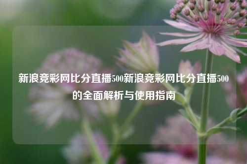 新浪竞彩网比分直播500新浪竞彩网比分直播500的全面解析与使用指南