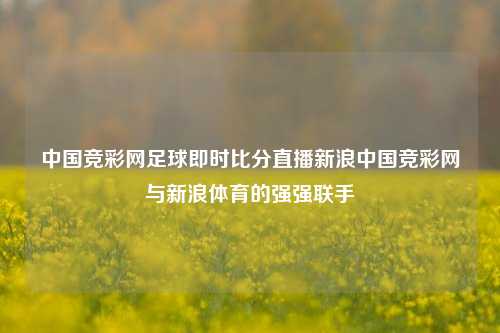 中国竞彩网足球即时比分直播新浪中国竞彩网与新浪体育的强强联手
