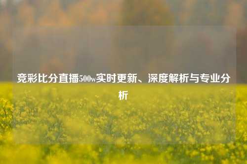 竞彩比分直播500w实时更新、深度解析与专业分析