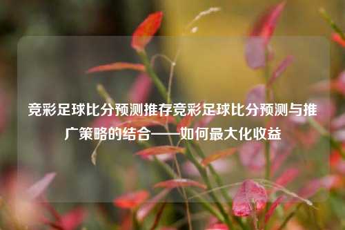竞彩足球比分预测推存竞彩足球比分预测与推广策略的结合——如何最大化收益