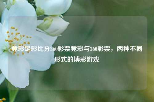 竞彩足彩比分360彩票竞彩与360彩票，两种不同形式的博彩游戏