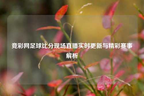 竞彩网足球比分现场直播实时更新与精彩赛事解析