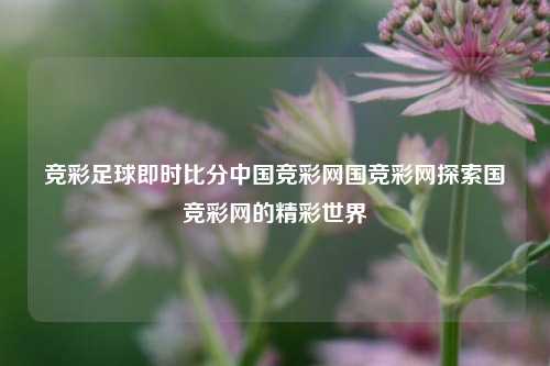 竞彩足球即时比分中国竞彩网国竞彩网探索国竞彩网的精彩世界