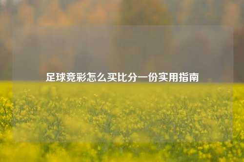 足球竞彩怎么买比分一份实用指南