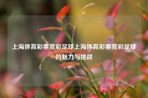 上海体育彩票竞彩足球上海体育彩票竞彩足球的魅力与挑战