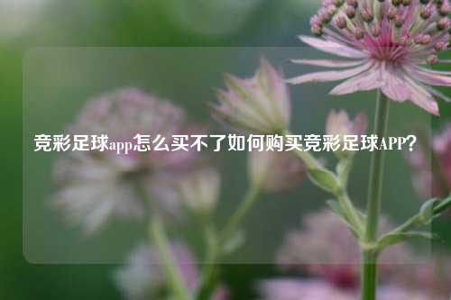 竞彩足球app怎么买不了如何购买竞彩足球APP？