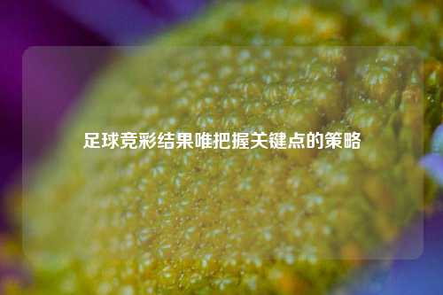 足球竞彩结果唯把握关键点的策略