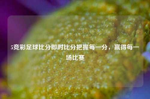 5竞彩足球比分即时比分把握每一分，赢得每一场比赛