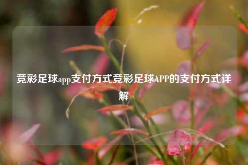 竞彩足球app支付方式竞彩足球APP的支付方式详解