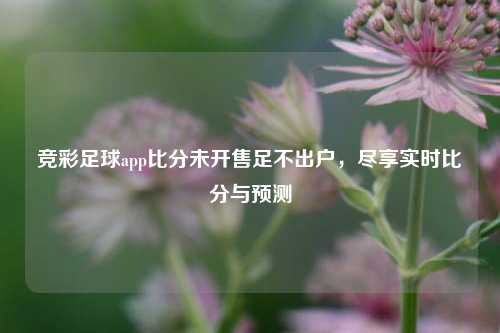 竞彩足球app比分未开售足不出户，尽享实时比分与预测