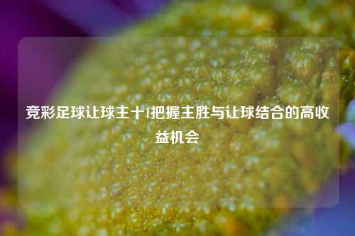 竞彩足球让球主十1把握主胜与让球结合的高收益机会