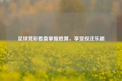 足球竞彩看盘掌握胜算，享受投注乐趣