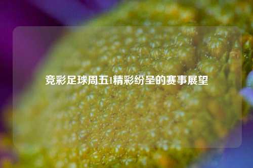 竞彩足球周五1精彩纷呈的赛事展望