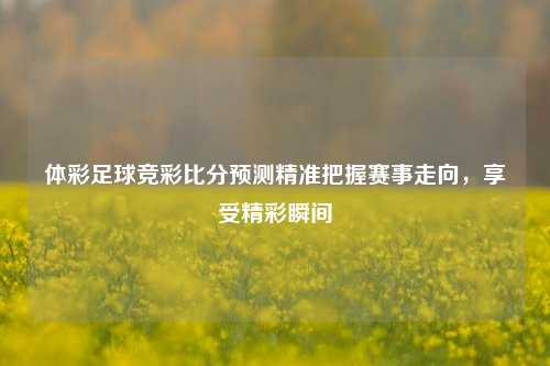 体彩足球竞彩比分预测精准把握赛事走向，享受精彩瞬间