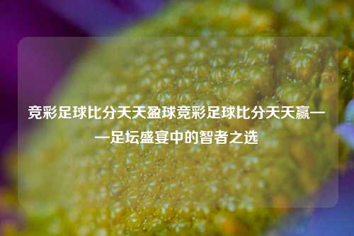 竞彩足球比分天天盈球竞彩足球比分天天赢——足坛盛宴中的智者之选
