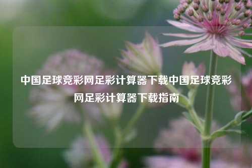 中国足球竞彩网足彩计算器下载中国足球竞彩网足彩计算器下载指南