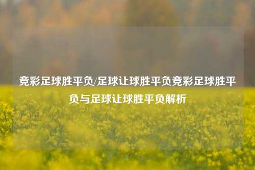 竞彩足球胜平负/足球让球胜平负竞彩足球胜平负与足球让球胜平负解析