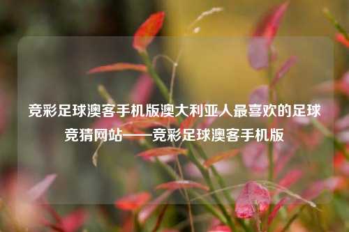 竞彩足球澳客手机版澳大利亚人最喜欢的足球竞猜网站——竞彩足球澳客手机版