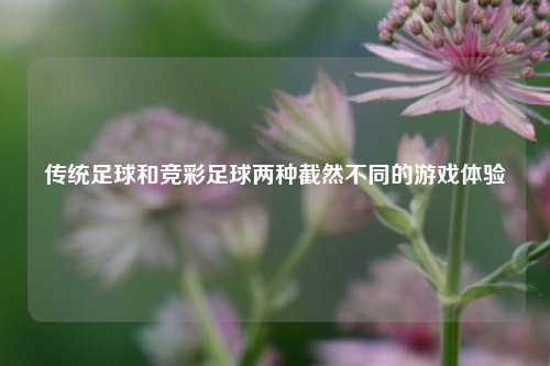 传统足球和竞彩足球两种截然不同的游戏体验