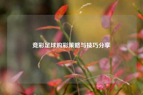 竞彩足球购彩策略与技巧分享