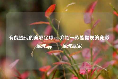 有能提现的竞彩足球app介绍一款能提现的竞彩足球app——足球赢家