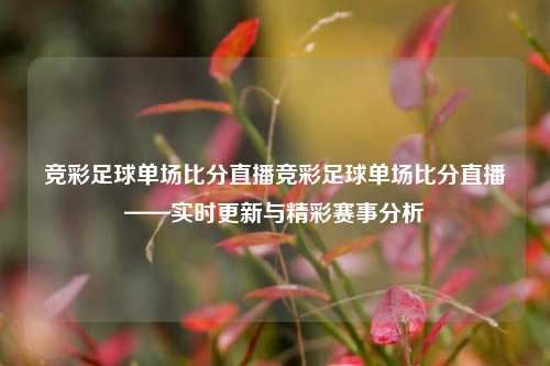 竞彩足球单场比分直播竞彩足球单场比分直播——实时更新与精彩赛事分析