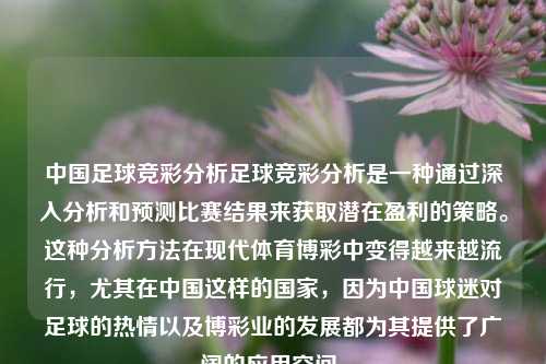 中国足球竞彩分析足球竞彩分析是一种通过深入分析和预测比赛结果来获取潜在盈利的策略。这种分析方法在现代体育博彩中变得越来越流行，尤其在中国这样的国家，因为中国球迷对足球的热情以及博彩业的发展都为其提供了广阔的应用空间。