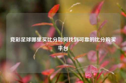 竞彩足球哪里买比分如何找到可靠的比分购买平台