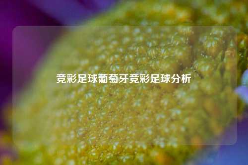 竞彩足球葡萄牙竞彩足球分析