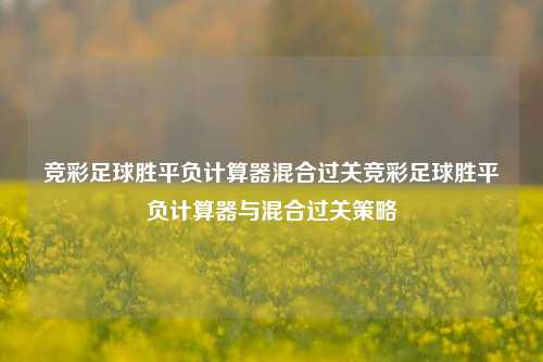 竞彩足球胜平负计算器混合过关竞彩足球胜平负计算器与混合过关策略
