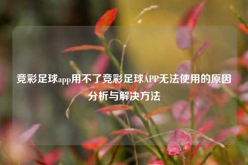 竞彩足球app用不了竞彩足球APP无法使用的原因分析与解决方法