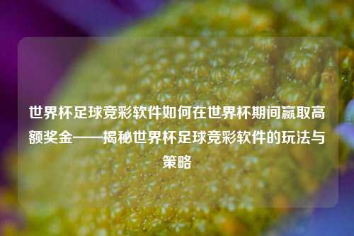 世界杯足球竞彩软件如何在世界杯期间赢取高额奖金——揭秘世界杯足球竞彩软件的玩法与策略