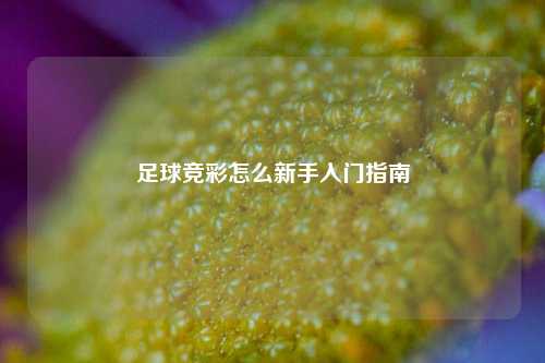 足球竞彩怎么新手入门指南