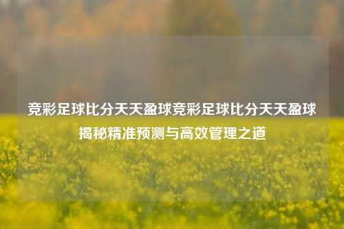 竞彩足球比分天天盈球竞彩足球比分天天盈球揭秘精准预测与高效管理之道