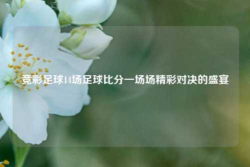 竞彩足球14场足球比分一场场精彩对决的盛宴